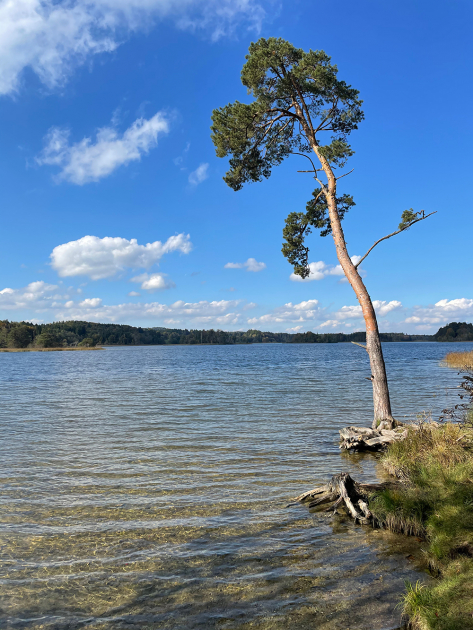 Große Osterseen Rundwanderung